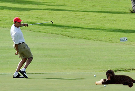 Obama plays golf in Hawaii