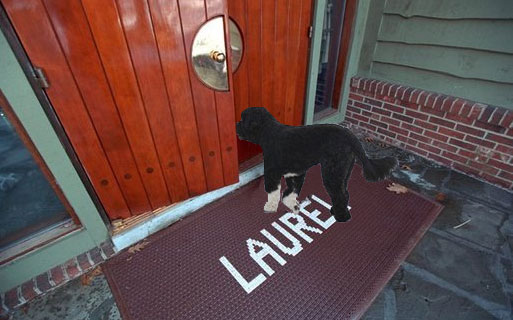 Bo the first dog at Camp David Laurel Lodge - parody