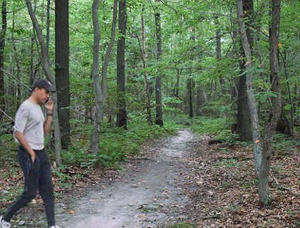 Camp David nature trail - parody