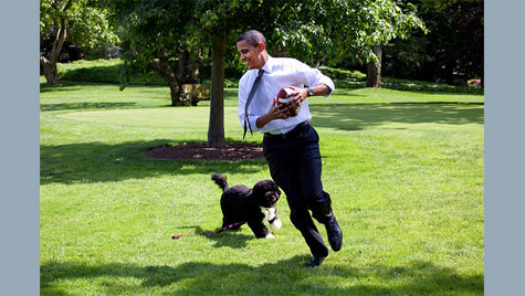 Obama plays football with Bo the dog