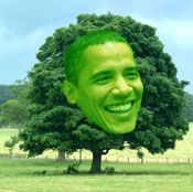 obama-green-tree.jpg