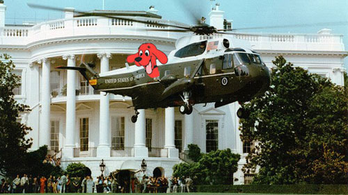 Obama dog arrives at the White House